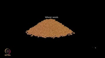 An introduction to Cell-free protein synthesis #ch17sp #swayamprabha