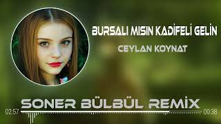 Ceylan Koynat - Bursalı Mısın Kadifeli Gelin ( Soner Bülbül Remix ) Resimi