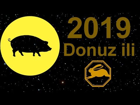 Donuz / Qaban ili olan 2019-cu il Dovşan ilində anadan olanlar üçün necə bir il olacaq?