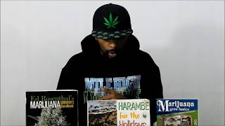 Episode 1 of "Higher Education"