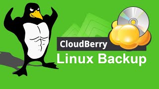 CloudBerry Backup: an ULTIMATE BACKUP solution for LINUX screenshot 4