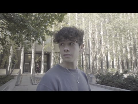 Shawn Mendes - Life Of The Party & Sweater Weather - The Neighbourhood (Sebastian Javier Cover)