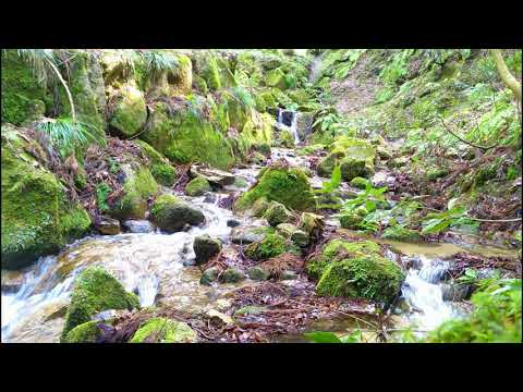【自然音・ASMR】龍王滝：癒やしの緑と雪解けの春水 【リラックスムービー】