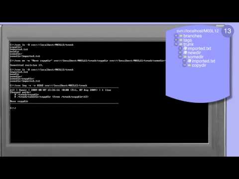 304_01-Subversion: move-URL;move and rename files and directories directly
