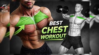 Best Chest Workout 💪 Build Bigger Chest Fast (No Equipment / Gym Guide)