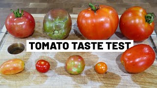 TASTE TESTING every tomato variety we grew this year (and the surprising results)