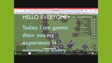 Moomoo.io bots or hackers?