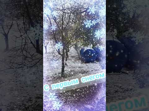 Видео: С первым снегом!