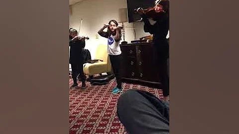 Ladybeatles play Eleanor Rigby