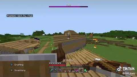 Pillager hits 360 noscope!!