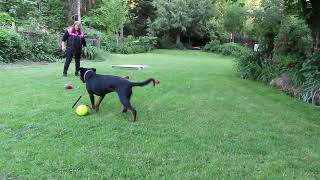 2026-May-21 - Heizelwood Baela - teaching the out with toys