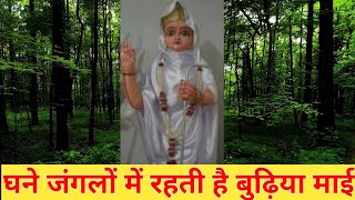 गोरखपुर के कुसमी जंगल में स्थित है बुढ़िया माई का वह पवित्र स्थल !#kushmijungle screenshot 5