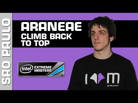 Araneae: The climb back to the top