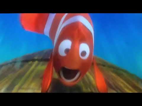 Finding Nemo righteous in Portuguese