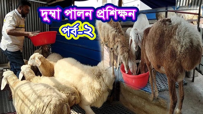 Porno oyoqlar dunyo xonim Barbara