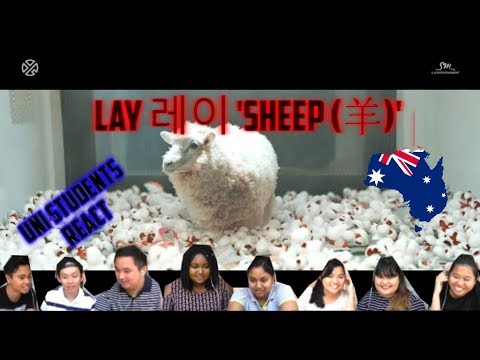 LAY 레이 SHEEP 羊 MV Aussie Uni Students Reactions