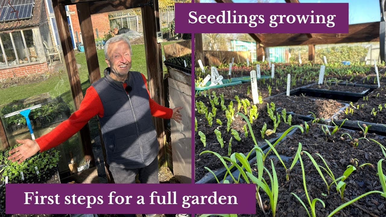 Seeding and seedlings in early spring - YouTube