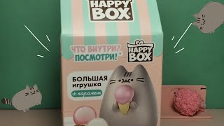 РАСПАКОВКА HAPPY BOX PUSHEEN:3