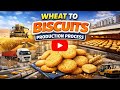 European Biscuit Factory | Full Process