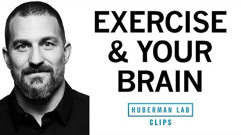 How Exercise Affects the Brain and Learning | Dr. Andrew Huberman