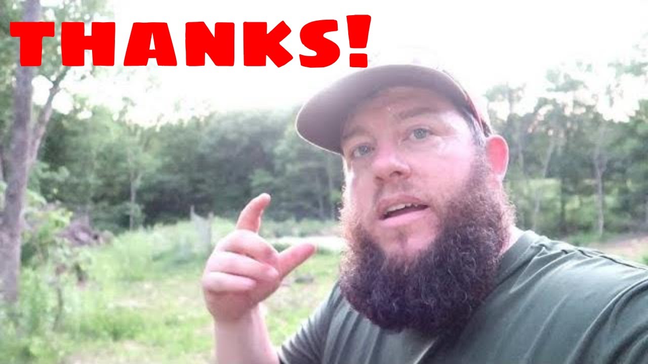 we-asked-you-answered-youtube