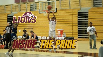 Volleyball Experts | Ideal foursomes | Inside the Pride