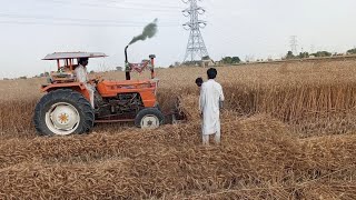 Tractor traile video  alghazi tractor cutting Wheat with rapper l new Holland