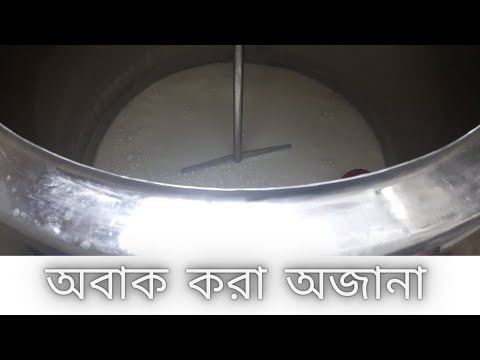 ভিডিও: বেগুন মার্জিপান: ফলন, বৈশিষ্ট এবং বৈচিত্র্যের বর্ণনা