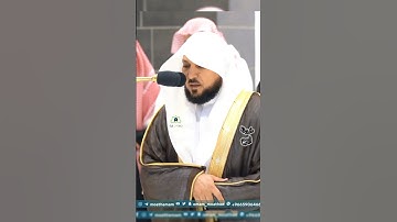 تلاوة فضيلة الشيخ أ.د _#ماهر #_المعيقلي | 🌿 سورة التين 🌿