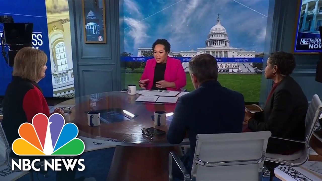 Panel: Pres. Biden’s 2024 message will be ‘competence versus crazy’