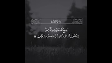 القارئ عبدالله الموسى تلاوة من سورة البقرة.