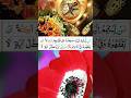SOORAT AL  ANAAM 22-23-24 #learnarabic #viral SHORT #qsjamalishort .