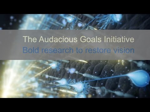The NEI Audacious Goals Initiative: Bold Research to Restore Vision