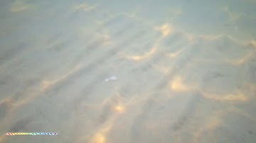 Smartphone GinZZu RS9602 & Underwater in salt water