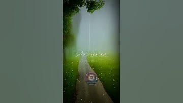 تلاوة خاشعة للقارئ الشيخ ياسر الدوسري سورة (النساء) آية 14
