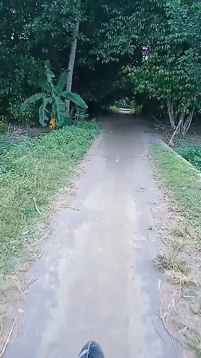 tanaman sayuran di kanan-kiri jalan