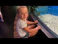 Angelina in the Antalya Aquarium! Ангелина в океанариуме в Анталии!