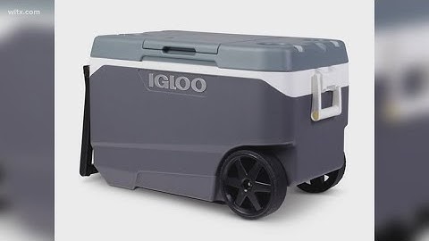 Recall: Igloo recalling coolers due to amputations