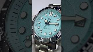 WM244 Watch – Sparkle Texture Dial, 42mm | Miyota 8215 | Sapphire Glass | 50m Water Resistant