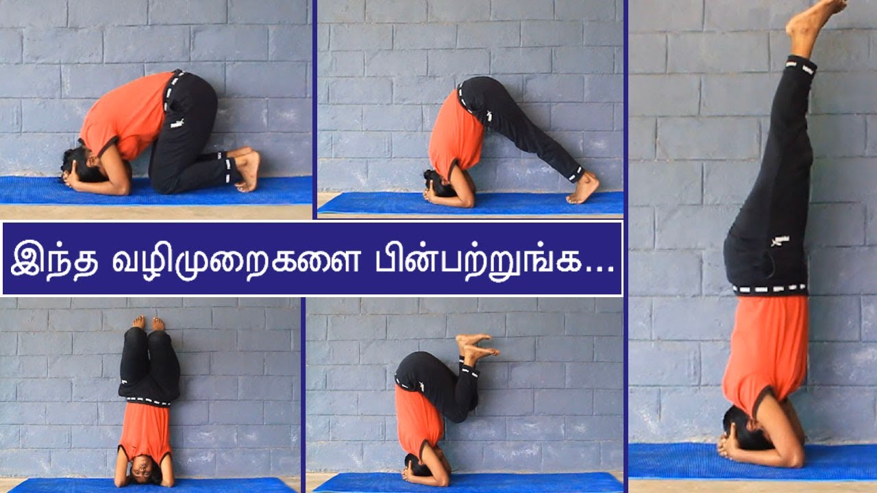 ஒரே வாரத்தில் சிரசாசனம் செய்வது எப்படி? இந்த வழிமுறைகளை பின்பற்றுங்க... | Samayam Tamil