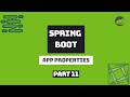 Spring Boot 4 - Application Properties (Part 11) | Beginner to Intermediate - REST API