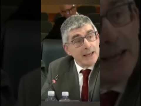 Brown Mogotsi S Statement Proven Wrong At The MadlangaCommission