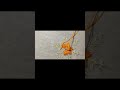 simple hand embroidery designs | simple hand stitch | simple hand stitch design