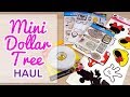 Scrapbooking Mini Dollar Tree Haul - Great New Items