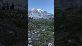 Une Vue 1010