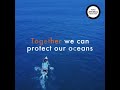 Protecting sea animals from ghost fishing gear