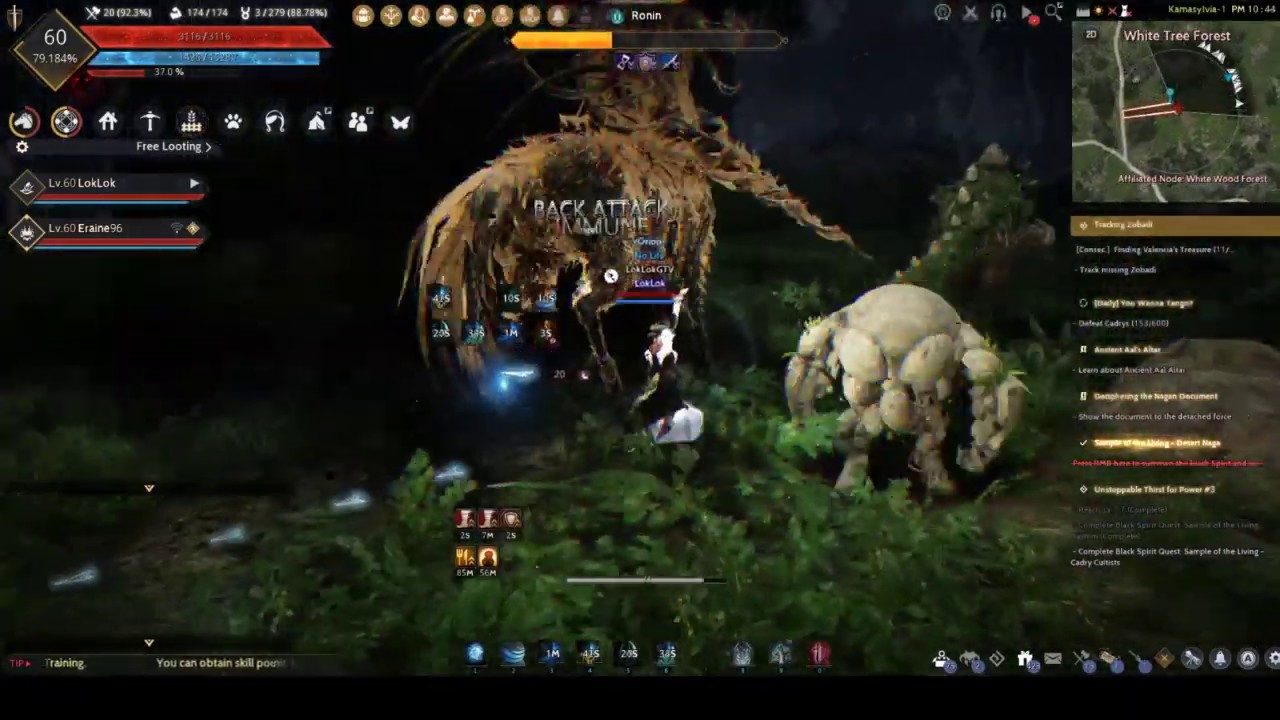 【黑色沙漠Black Desert Online】Dark Rift with witch battle gameplay EP2