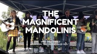 The Magnificent Mandolinis at the Crouch End Festival