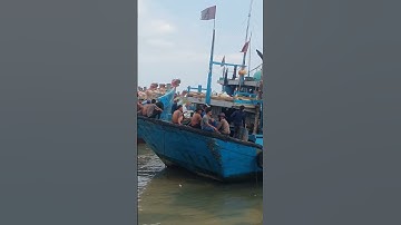 shorts cảng cá lagi tàu cá công suất lớn có biến