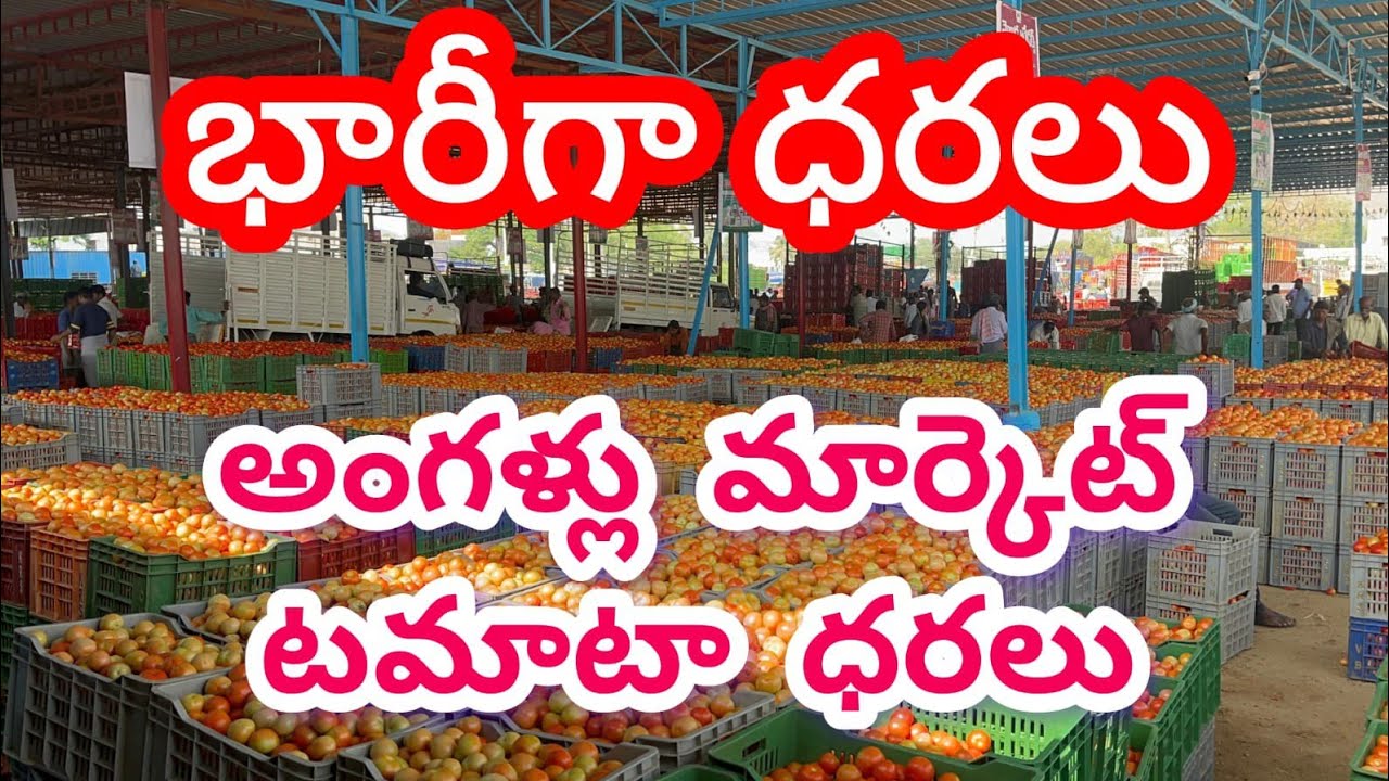 21-07-2025 Today angallu tomato market top rates// angallu Tomato ...